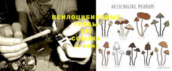 Альфа ПВП Белокуриха